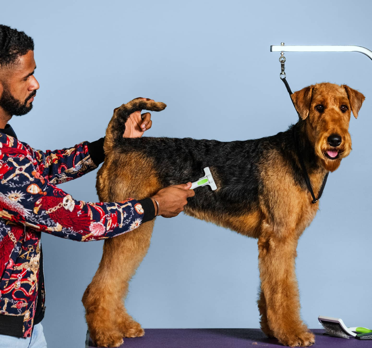 Man brushing dog