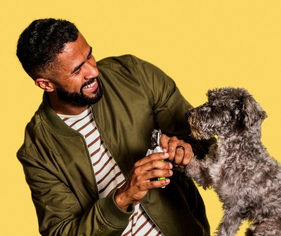 Man with yellow background with small dog